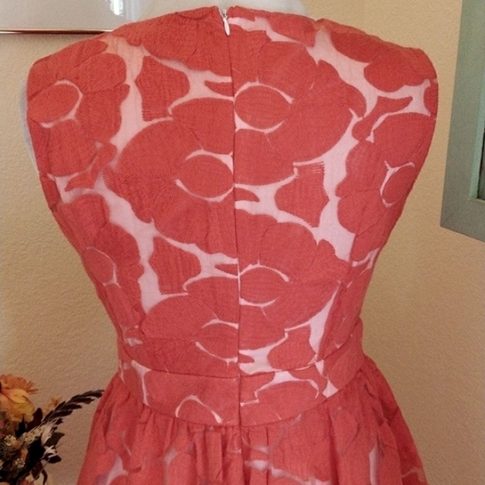 C. Luce Embroidered Dress Cottagecore - Picture 6 of 11